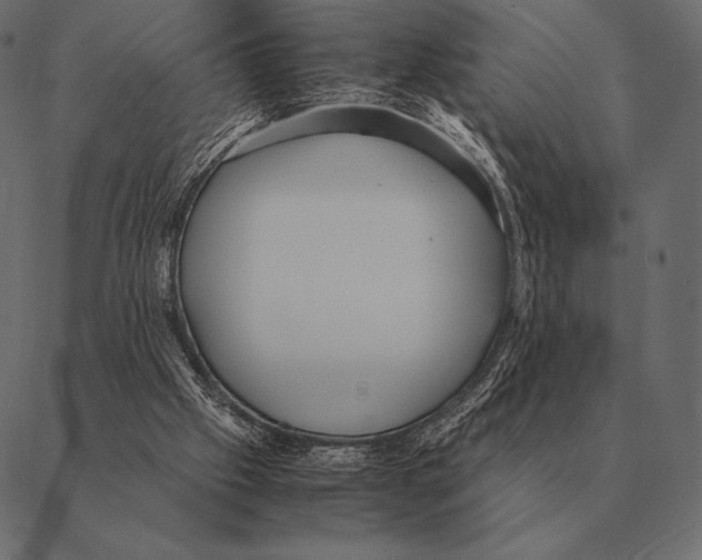 X0000087370057200705181227