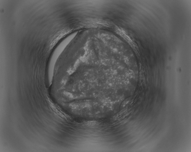 X0000087370058200705181227