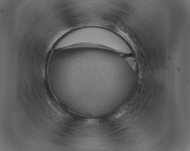 X0000087370060200705181227