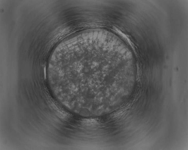 X0000087370061200705181227