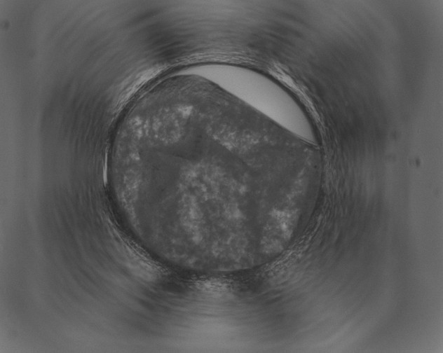 X0000087370062200705181227