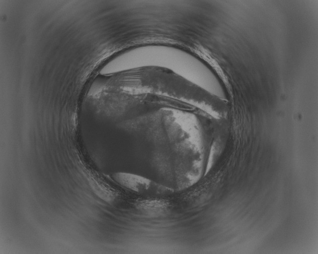 X0000087370063200705181227