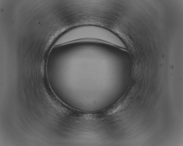 X0000087370064200705181227