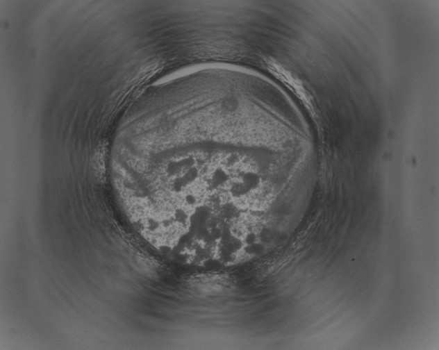 X0000087370065200705181227