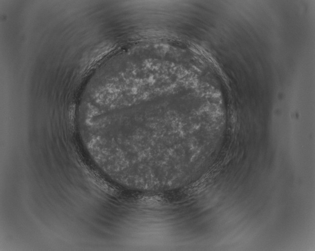 X0000087370066200705181227