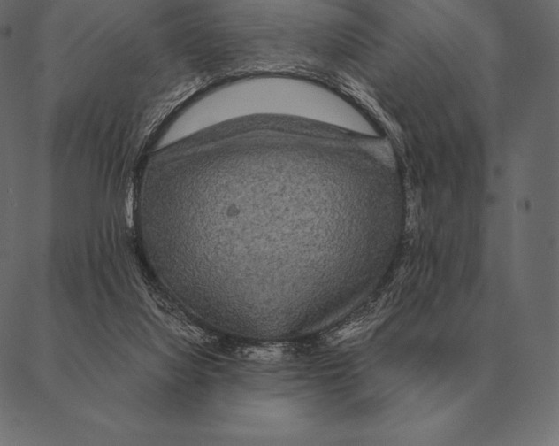 X0000087370068200705181227