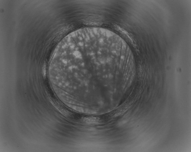 X0000087370069200705181227