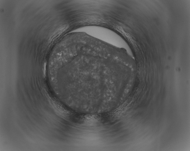 X0000087370070200705181227