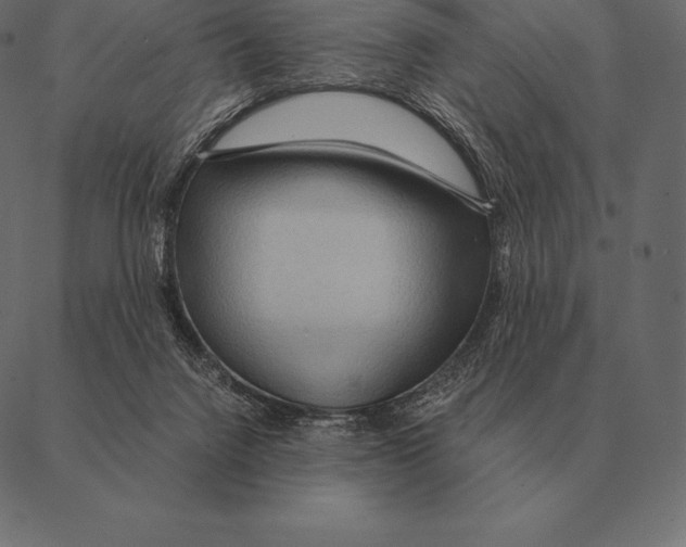 X0000087370072200705181227