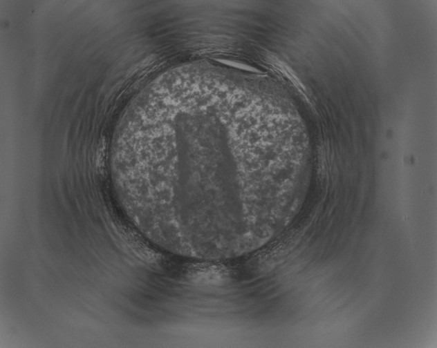 X0000087370073200705181227