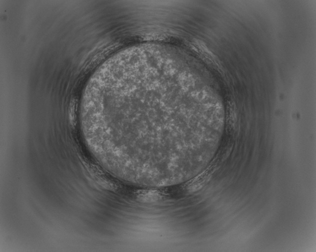 X0000087370074200705181227