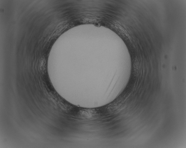 X0000087370079200705181227