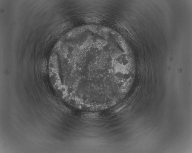 X0000087370081200705181227