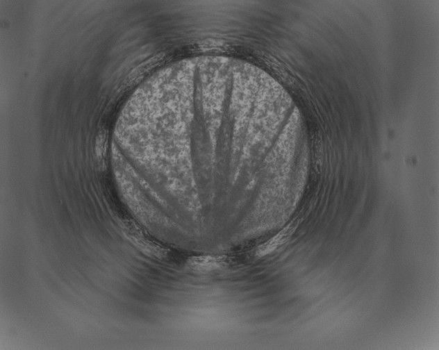 X0000087370082200705181227