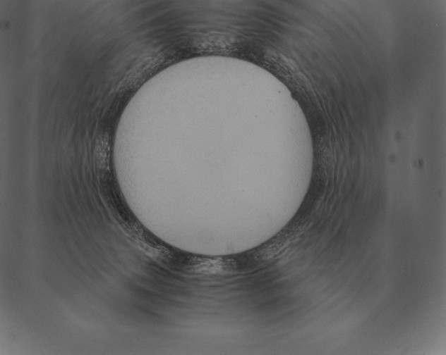 X0000087370083200705181227