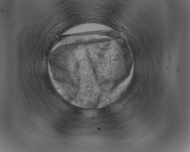 X0000087370085200705181227