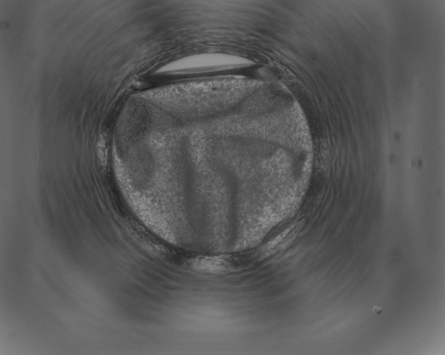 X0000087370086200705181227