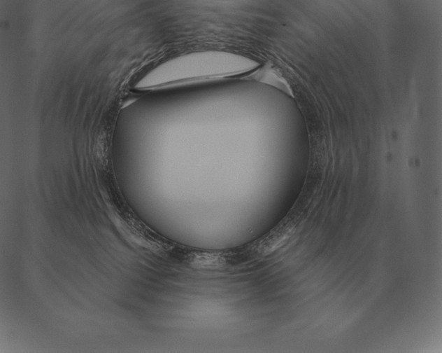 X0000087370088200705181227