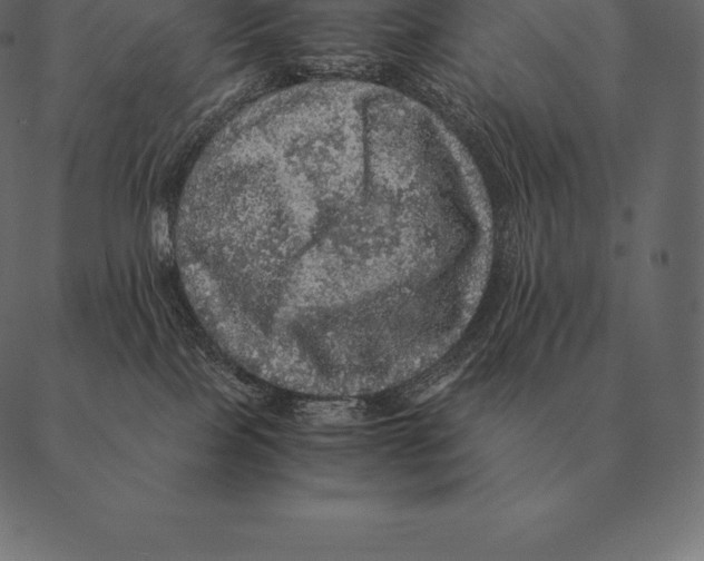 X0000087370089200705181227