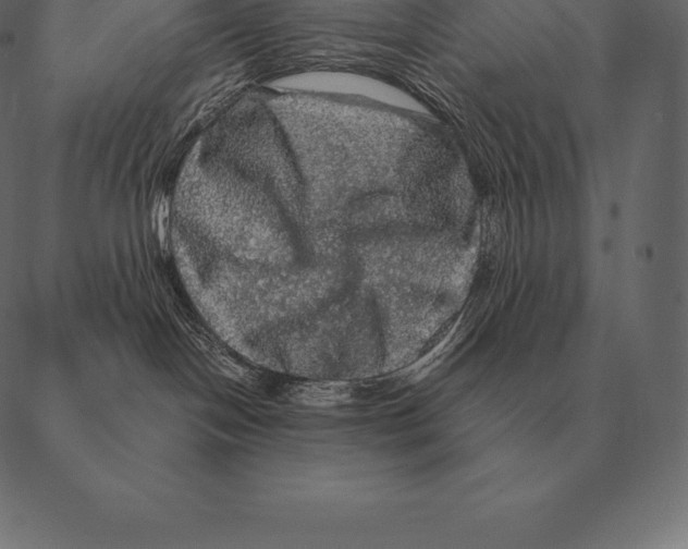 X0000087370094200705181227