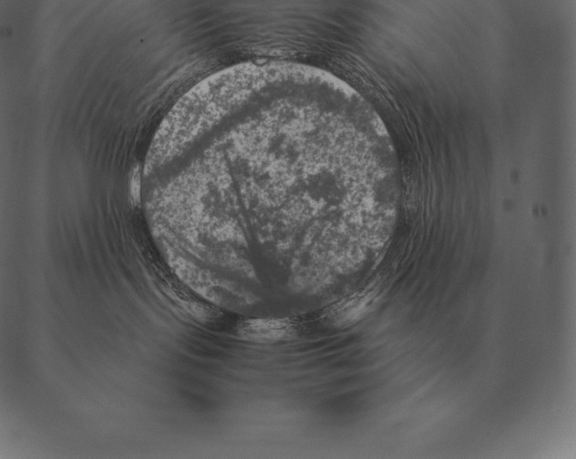 X0000087370095200705181227