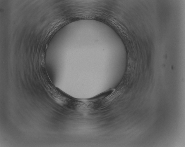 X0000087370096200705181227