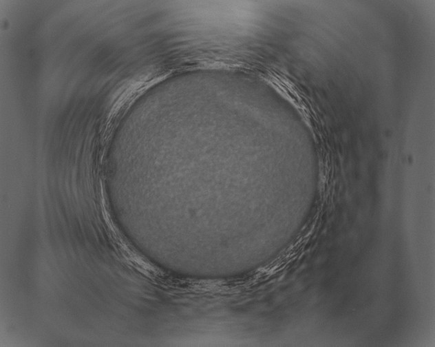 X0000087370097200705181227