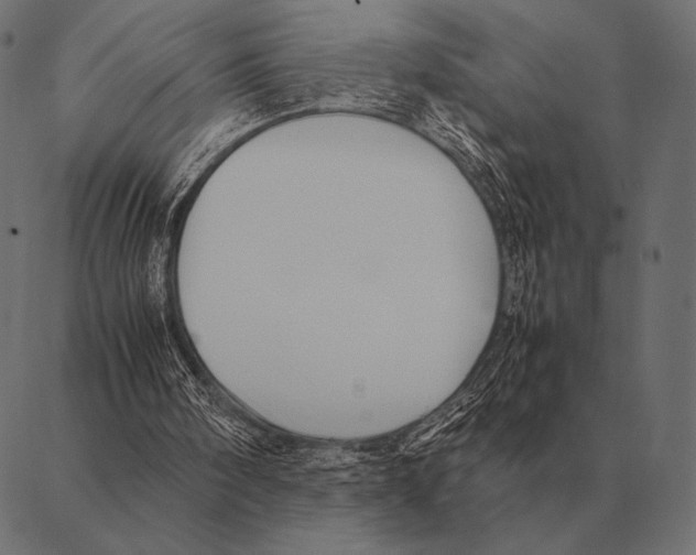 X0000087370098200705181227