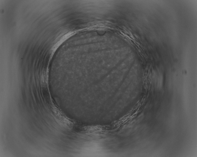 X0000087370100200705181227