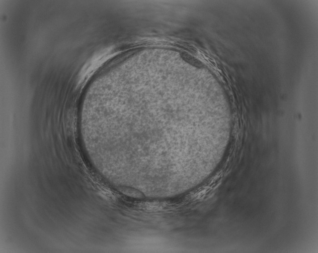 X0000087370103200705181227