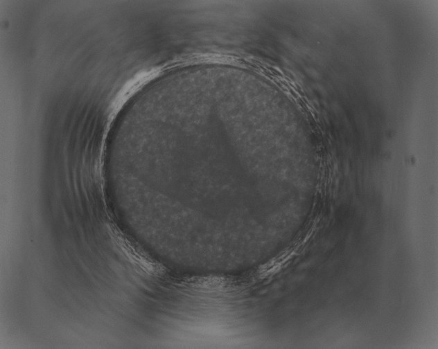 X0000087370104200705181226