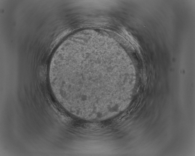 X0000087370107200705181226