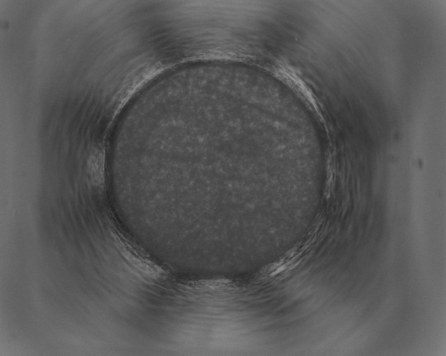 X0000087370108200705181226