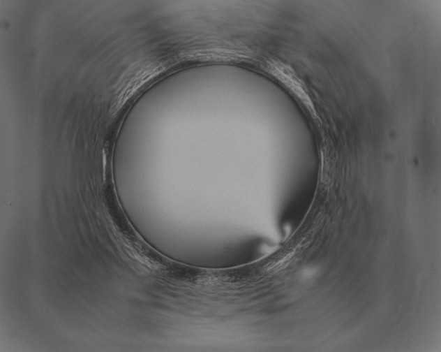 X0000087370109200705181226