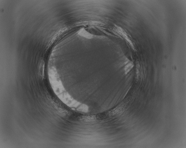 X0000087370110200705181226