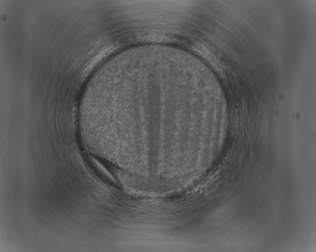 X0000087370111200705181226