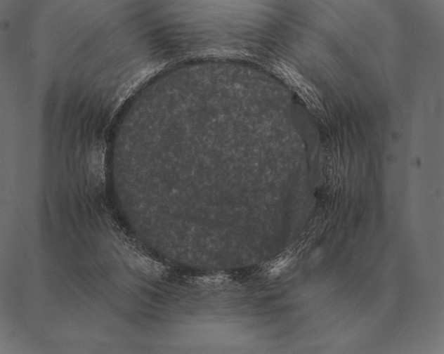 X0000087370112200705181226