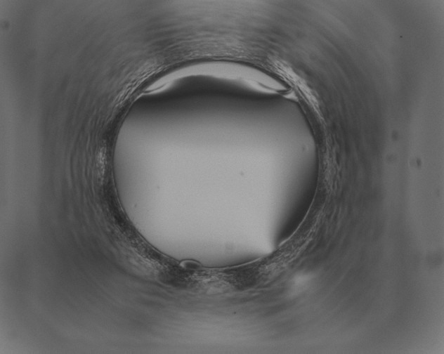 X0000087370113200705181226