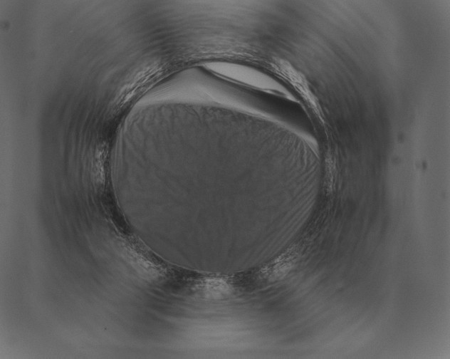 X0000087370114200705181226