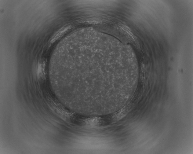 X0000087370116200705181226