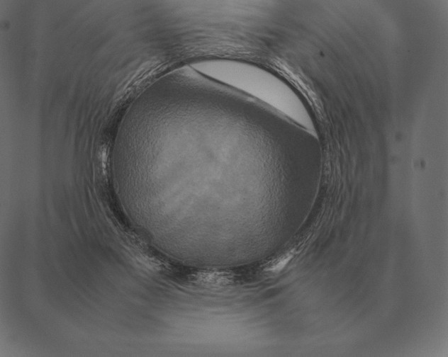 X0000087370117200705181226