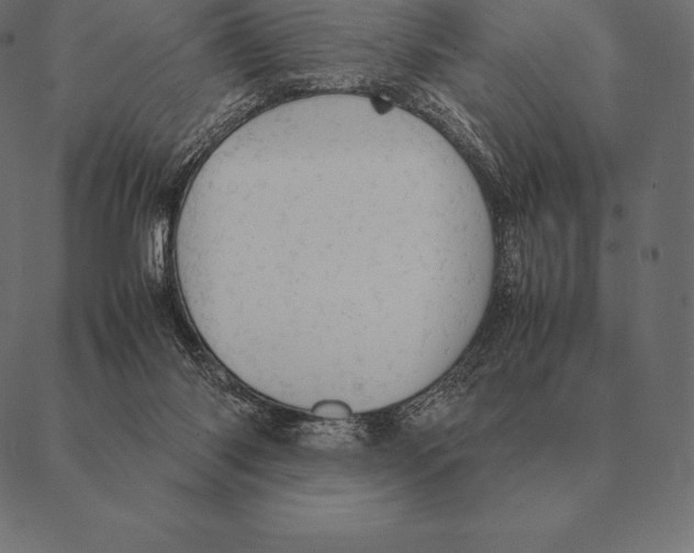 X0000087370118200705181226