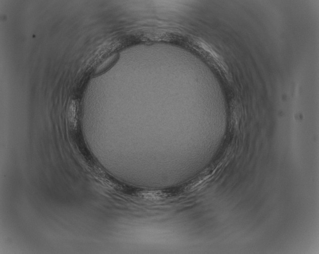 X0000087370121200705181226