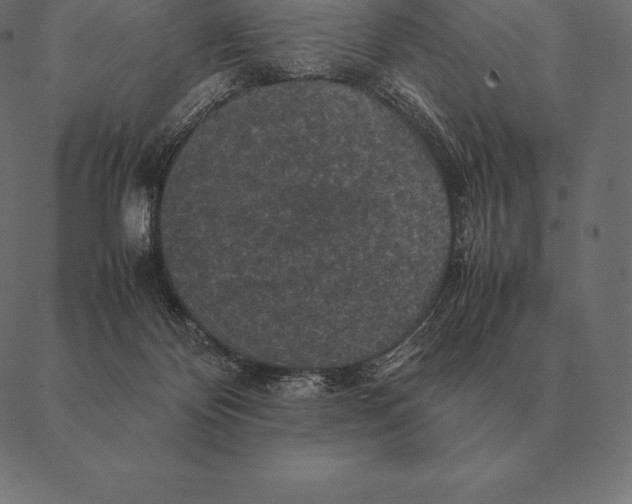 X0000087370124200705181226