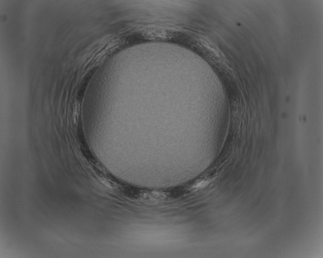 X0000087370125200705181226