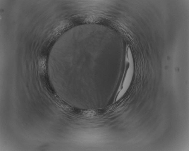 X0000087370127200705181226