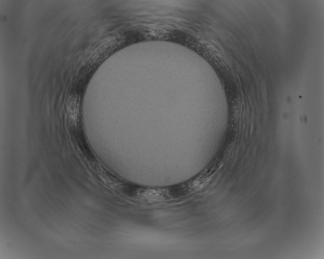 X0000087370129200705181226