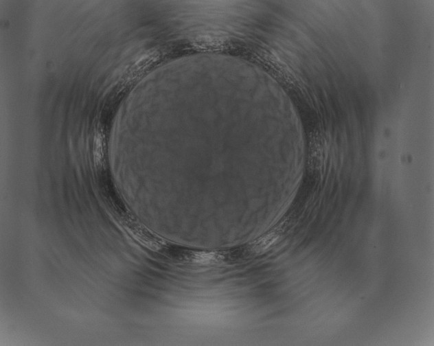 X0000087370130200705181226