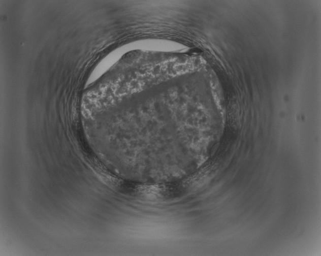 X0000087370131200705181226