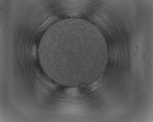 X0000087370132200705181226